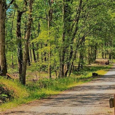 Chalet Boreal Pujaudran Dış mekan fotoğraf