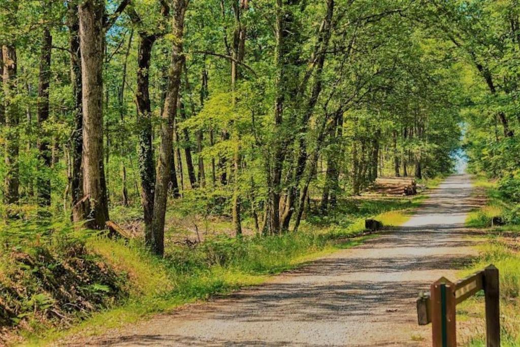 Chalet Boreal Pujaudran Dış mekan fotoğraf